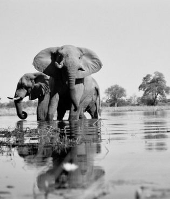 Christo-Wilkinson Family